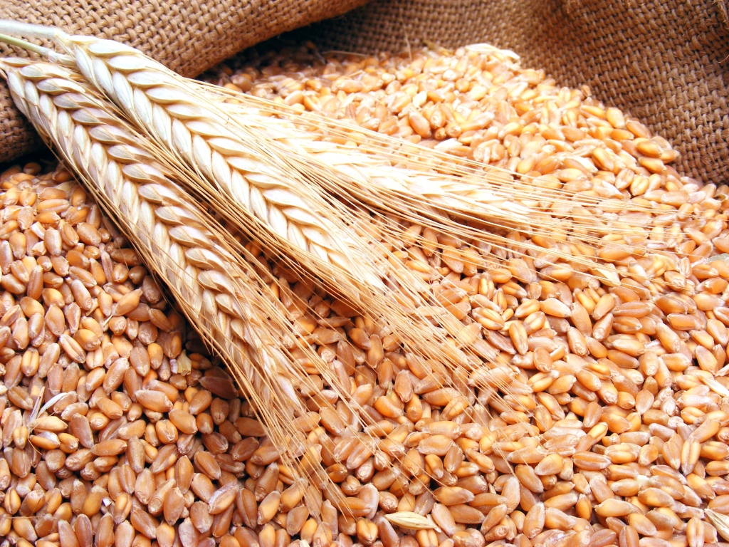 خزّن مزارع محصول القمح في ٦ حاويات ، في كل حاوية ٣٠٠٠ كيلوجرام من القمح . كم كيلوجراما كتلة محصوله من القمح ؟