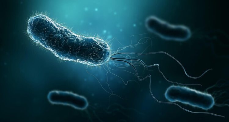 تطوير روبوتات هجينة بيولوجية قائمة على البكتيريا يمكنها محاربة السرطان - صحيفة المرصد الليبية