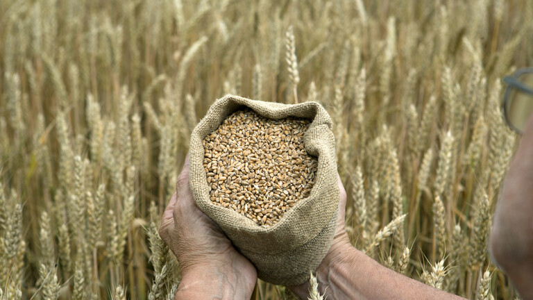 “BRICS” deals a “severe blow” to grain exporters in the West