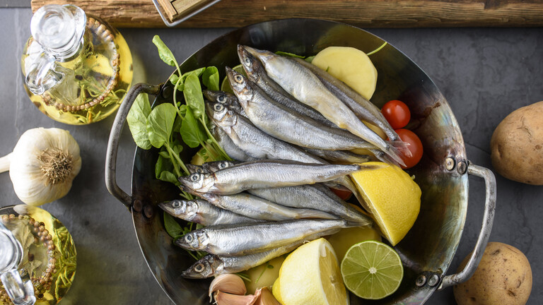 Scientists: Sardines and herring may save thousands of lives annually around the world by 2050