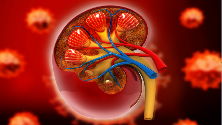 How can you keep your kidneys healthy?