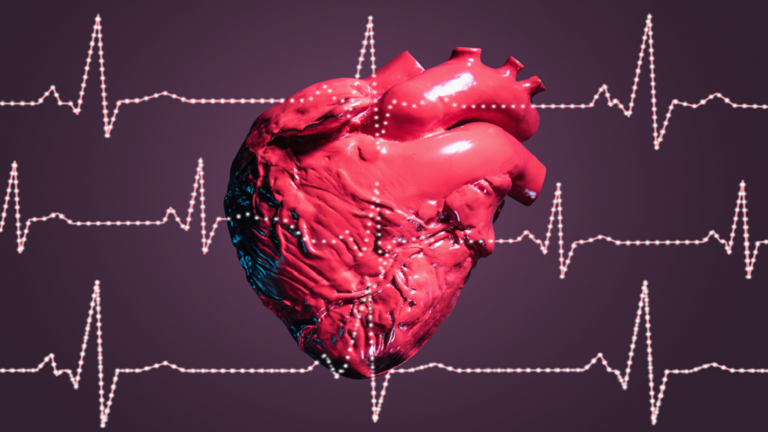 Important tips to maintain your heart health