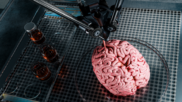 A mechanical system primarily based on synthetic intelligence to carry out head transplant operations