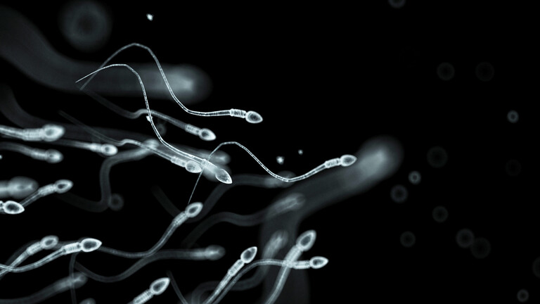 A brand new examine discovers “hidden facets” in regards to the world’s declining sperm depend