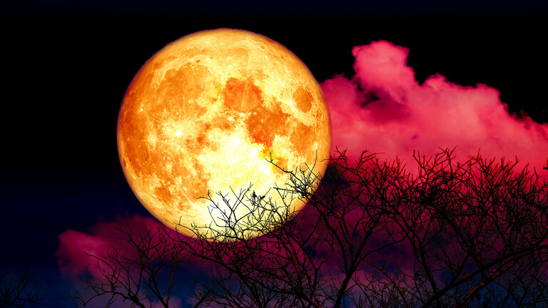 The primary full moon of summer time…the “strawberry moon” shines golden and seems bigger than ever