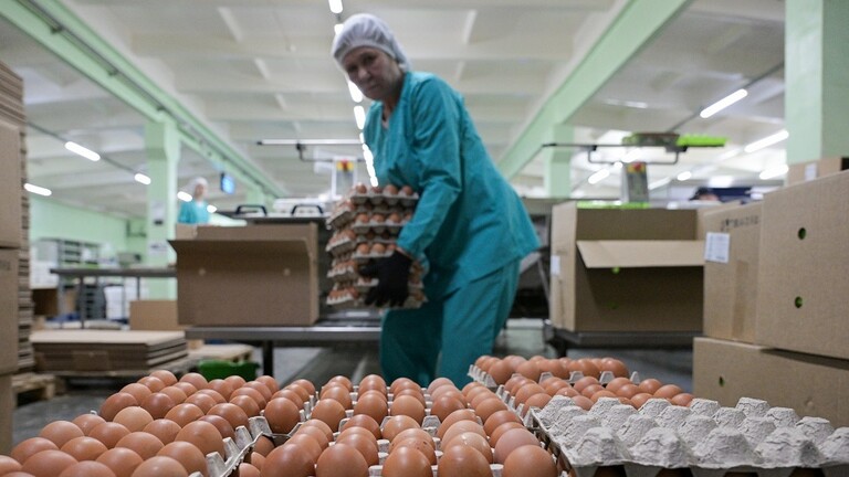 EU reimposes import duties on sugar, chicken eggs from Ukraine