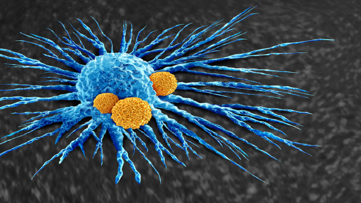 New discovery enhances the body’s ability to fight cancer