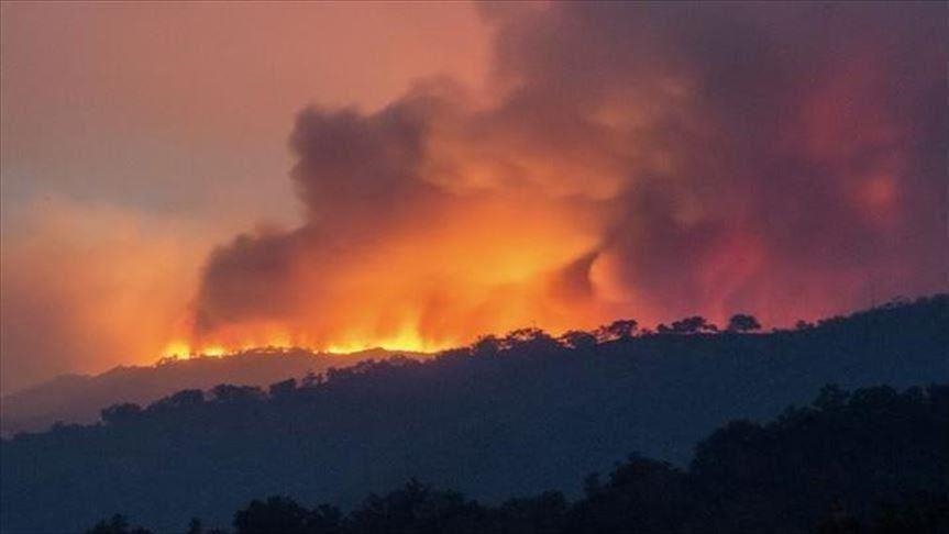 For the second day.. Fires continue to be extinguished in the forest of eastern Morocco and residents of the neighborhood evacuated