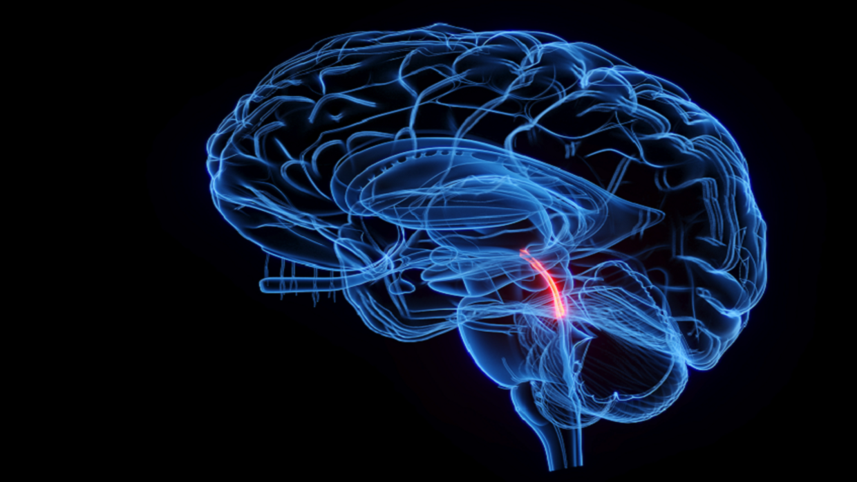 What happens if the cerebrospinal fluid fails to do its job?