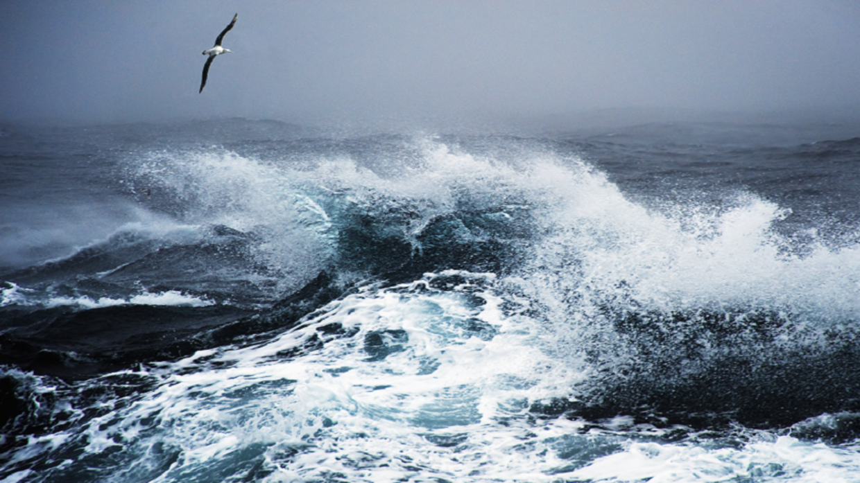 Huge swath of Atlantic Ocean cools at record speed, alarming scientists