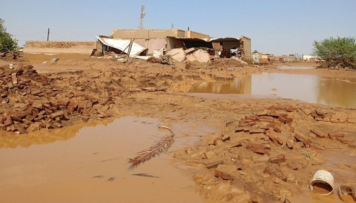 Sudanese authorities declare cholera outbreak