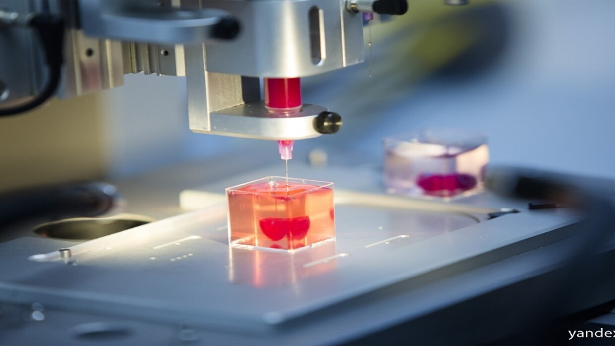 Russia plans to develop bioprinting technology for complex human organs