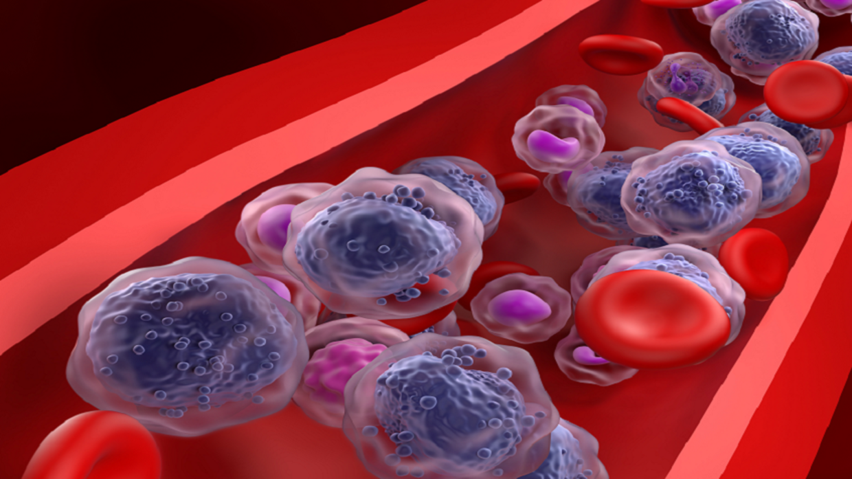 Major scientific breakthrough may lead to treatment of leukemia and bone marrow failure