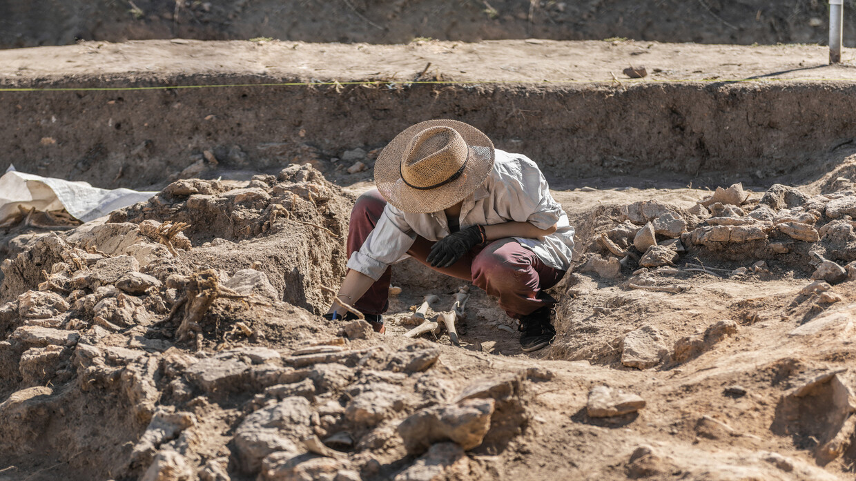 About 150 ancient tombs discovered under Chinese zoo