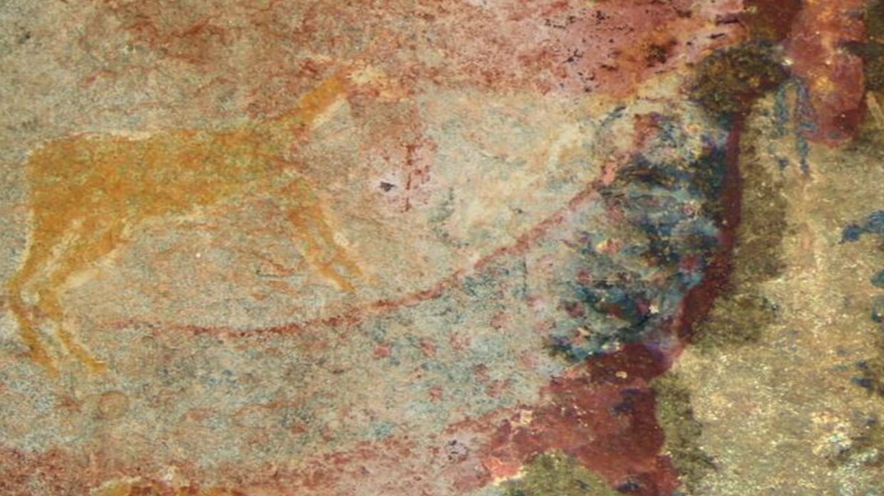 Mystery Creature Found in South African Rock Art Uncovered