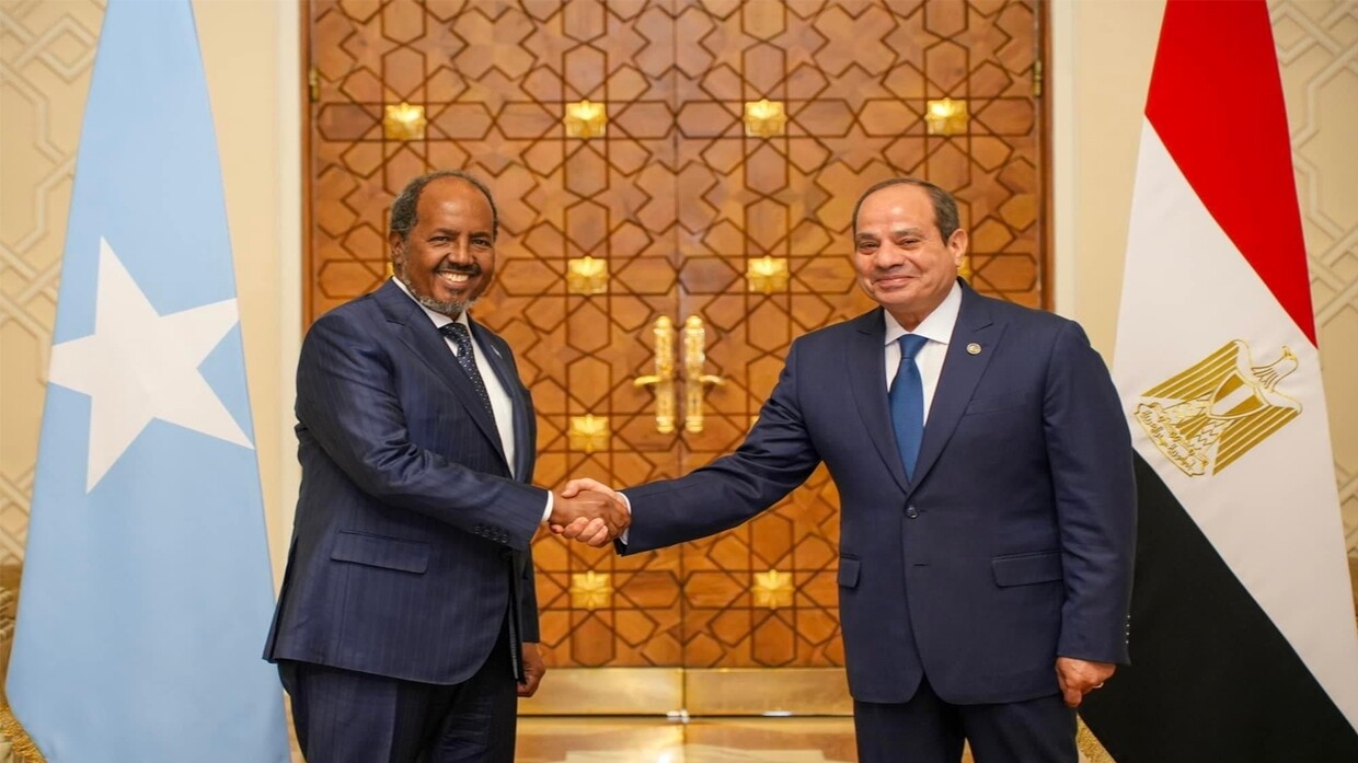 Egypt and Somalia issue a political declaration in support of the Mogadishu government