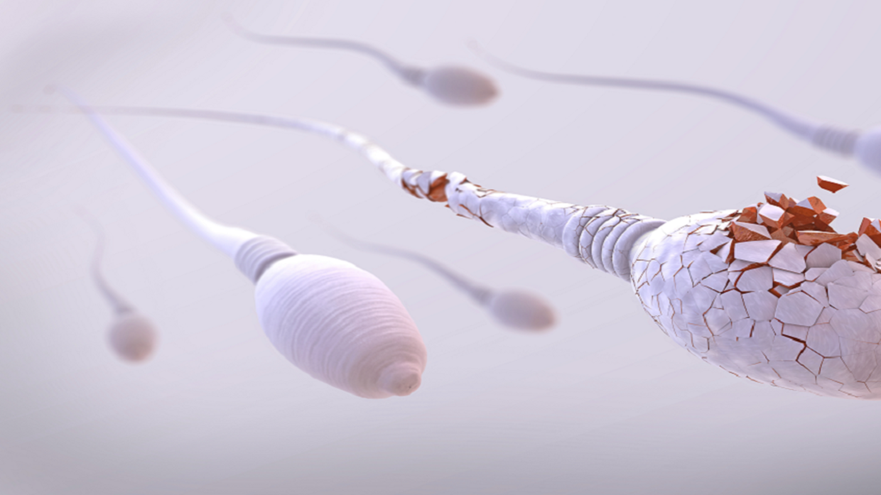 How do father’s sperm defects affect the health of the mother and child?