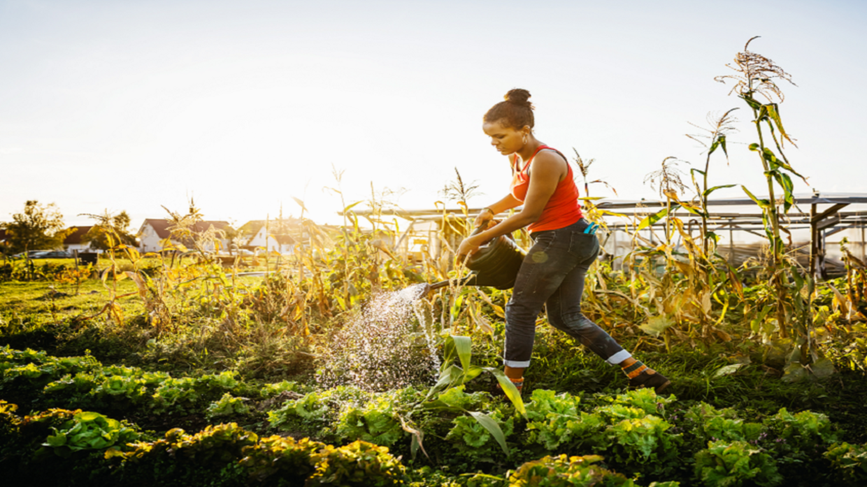 Thanks to artificial intelligence, plants will soon “talk” to humans to request water