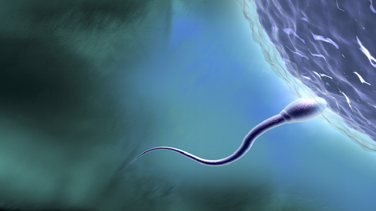 A doctor refutes false beliefs about male infertility