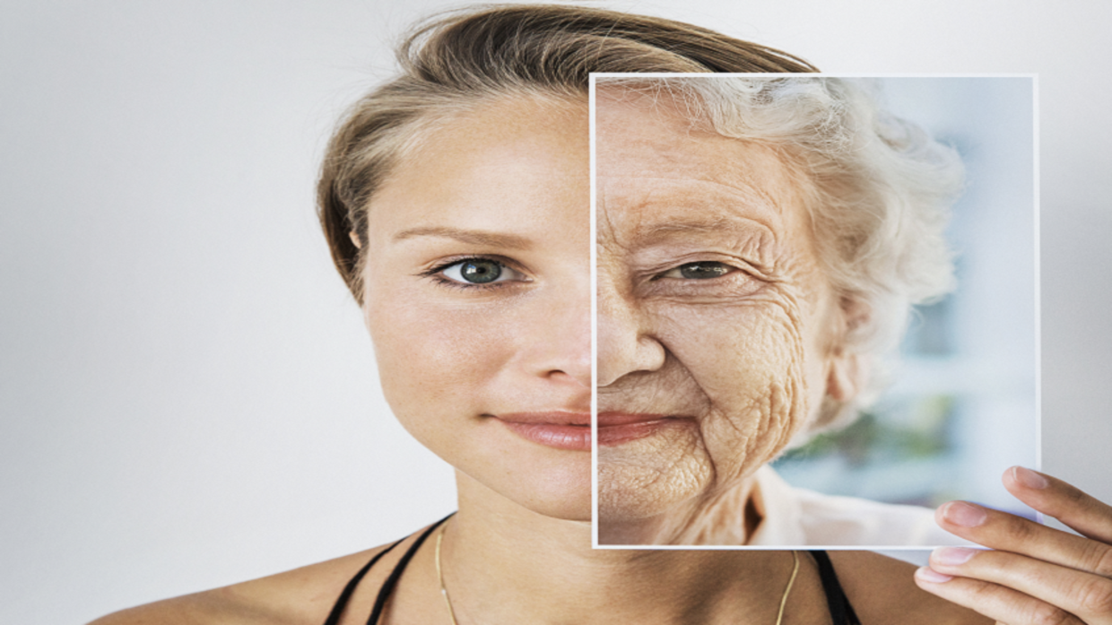 Study: An increase in the body’s natural defenses leads to accelerated aging