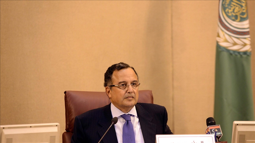 نبيل فهمي.. دبلوماسي “المهام الصعبة” في مشهد عربي مضطرب